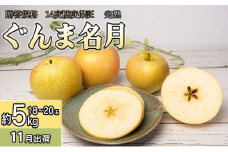 11月 贈答規格 完熟ぐんま名月 約5kg（18～20玉）14度糖度保証【青森りんご・ゆうきアップル・11月】 果物 フルーツ 黄色りんご 高糖度 糖度14度以上 