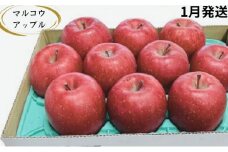 【1月発送】訳あり 家庭用 濃厚サンふじ 約3kg 糖度13度以上【青森りんご・マルコウアップル】