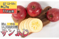 11月 特A完熟サンふじ約5kg（12～18玉）14.5度保証【青森りんご・ゆうきアップル・11月・12月】 