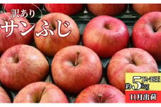 11月 訳ありサンふじ約5kg（12～18玉）糖度13度保証 