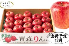 【12月発送】 特A 濃厚サンふじ約5kg　糖度13度以上【青森りんご・マルコウアップル】