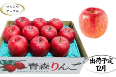 【12月発送】特A 濃厚サンふじ約3kg　糖度13度以上【青森りんご・マルコウアップル】