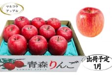 【1月発送】特A 濃厚サンふじ約3kg 糖度13度以上【青森りんご・マルコウアップル】
