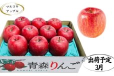 【3月発送】特A 濃厚サンふじ約3kg 糖度13度以上【青森りんご・マルコウアップル】