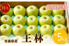 【1月発送】特A 王林約5kg 【青森りんご・マルコウアップル】