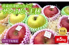 【11月下旬発送】【里いちみfarm】青森県津軽のりんご　特選「サンふじ・王林」約5kg
