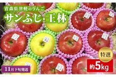 【11月下旬発送】【里いちみfarm】青森県津軽のりんご　特選「サンふじ・王林」約5kg