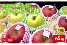 【12月発送】【里いちみfarm】青森県津軽のりんご　特選「サンふじ・王林」約5kg