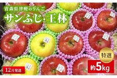 【12月発送】【里いちみfarm】青森県津軽のりんご　特選「サンふじ・王林」約5kg