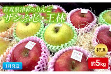 【1月発送】【里いちみfarm】青森県津軽のりんご　特選「サンふじ・王林」約5kg
