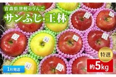 【1月発送】【里いちみfarm】青森県津軽のりんご　特選「サンふじ・王林」約5kg