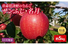 【11月下旬発送】【里いちみfarm】青森県津軽のりんご　特選「サンふじ・名月」約5kg