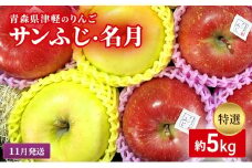 【11月下旬発送】【里いちみfarm】青森県津軽のりんご　特選「サンふじ・名月」約5kg
