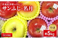 【12月発送】【里いちみfarm】青森県津軽のりんご　特選「サンふじ・名月」約5kg