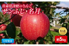 【1月発送】【里いちみfarm】青森県津軽のりんご　特選「サンふじ・名月」約5kg