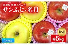 【1月発送】【里いちみfarm】青森県津軽のりんご　特選「サンふじ・名月」約5kg