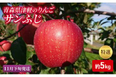 【11月下旬発送】【里いちみfarm】青森県津軽のりんご　特選「サンふじ」約5kg