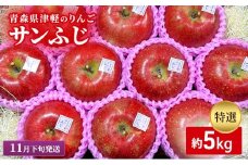 【11月下旬発送】【里いちみfarm】青森県津軽のりんご　特選「サンふじ」約5kg