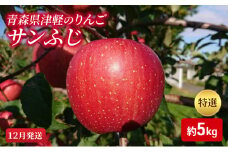 【12月発送】【里いちみfarm】青森県津軽のりんご　特選「サンふじ」約5kg
