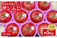【12月発送】【里いちみfarm】青森県津軽のりんご　特選「サンふじ」約5kg