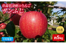 【1月発送】【里いちみfarm】青森県津軽のりんご　特選「サンふじ」約5kg