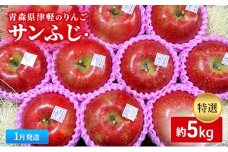 【1月発送】【里いちみfarm】青森県津軽のりんご　特選「サンふじ」約5kg