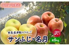 【11月下旬発送】【訳あり】青森県津軽のりんご「サンふじ・名月」約5kg【里いちみfarm】