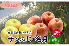 【12月発送】【訳あり】青森県津軽のりんご「サンふじ・名月」約5kg【里いちみfarm】