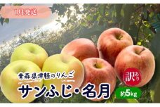【1月発送】【訳あり】青森県津軽のりんご「サンふじ・名月」約5kg【里いちみfarm】