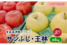 【11月下旬発送】【訳あり】青森県津軽のりんご「サンふじ・王林」約5kg【里いちみfarm】