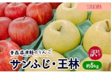 【1月発送】【訳あり】青森県津軽のりんご「サンふじ・王林」約5kg【里いちみfarm】