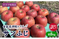 【11月下旬発送】【訳あり】青森県津軽のりんご「サンふじ」約5kg【里いちみfarm】