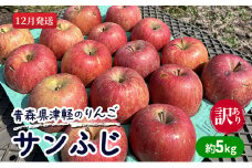 【12月発送】【訳あり】青森県津軽のりんご「サンふじ」約5kg【里いちみfarm】