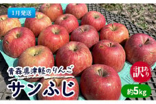 【1月発送】【訳あり】青森県津軽のりんご「サンふじ」約5kg【里いちみfarm】