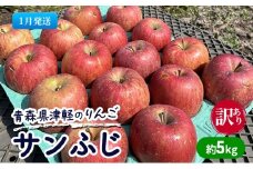 【1月発送】【訳あり】青森県津軽のりんご「サンふじ」約5kg【里いちみfarm】