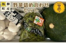 【2026年産 先行予約】板柳町産野菜詰め合わせセット（にんにく約500g・かぼちゃ1玉・毛豆約500g）