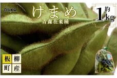 【2026年産 先行予約】津軽地方在来種 毛豆約1kg