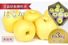 【高級りんご・はるか】家庭用/はるか/約3kg　青森県　りんご　リンゴ　林檎　フルーツ　くだもの　果物