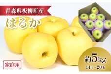 【高級りんご・はるか】家庭用/はるか/約5kg　青森県　りんご　リンゴ　林檎　フルーツ　くだもの　果物