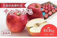【早生りんごの定番・サンつがる】家庭用/サンつがる/約5kg　青森県　りんご　リンゴ　林檎　フルーツ　くだもの　果物