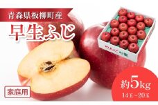 【一足早くふじの味・早生ふじ】家庭用/早生ふじ/約5kg　青森県　りんご　リンゴ　林檎　フルーツ　くだもの　果物