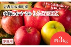 【どんな品種が届くかお楽しみ】季節のおすすめりんごBOX/家庭用/詰め合わせ/約3kg　青森県　りんご　リンゴ　林檎　フルーツ　くだもの　果物