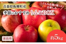 【どんな品種が届くかお楽しみ】季節のおすすめりんごBOX/家庭用/詰め合わせ/約5kg　青森県　りんご　リンゴ　林檎　フルーツ　くだもの　果物