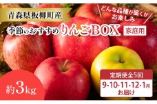 【定期購入5回】【どんな品種が届くかお楽しみ】季節のおすすめりんごBOX/家庭用/詰め合わせ/9月・10月・11月・12月・1月/約3kg　青森県　りんご　リンゴ　林檎　フルーツ　くだもの　果物