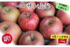 りんご 【4月クール便発送】 平均糖度13度以上 訳あり品 家庭用 CA貯蔵 サンふじ 約 5kg 【 青森りんご 】 果物類 林檎 リンゴ フルーツ
