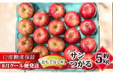 【8月クール便発送】（12度糖度保証）おもてなし用 家庭用 サンつがる約5kg【 青森りんご 果物類 林檎 リンゴ 青森県産 フルーツ 旬の果物 産地直送  】