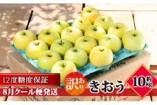 【8月クール便発送】（12度糖度保証）訳あり品 家庭用 きおう約10kg【 青森りんご 果物類 林檎 リンゴ 青森県産 フルーツ 旬の果物 産地直送 訳アリ  】