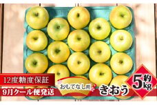 【9月クール便発送】（12度糖度保証）おもてなし用 家庭用 きおう約5kg【 青森りんご 果物類 林檎 リンゴ 青森県産 フルーツ 旬の果物 産地直送  】