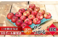 【9月クール便発送】（12度糖度保証）訳あり品 家庭用 サンつがる約10kg【 青森りんご 果物類 林檎 リンゴ 青森県産 フルーツ 旬の果物 産地直送 訳アリ  】