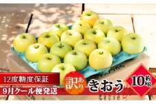 【9月クール便発送】（12度糖度保証）訳あり品 家庭用 きおう約10kg【 青森りんご 果物類 林檎 リンゴ 青森県産 フルーツ 旬の果物 産地直送 訳アリ  】